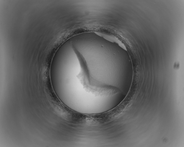 X0000090980641200708161857