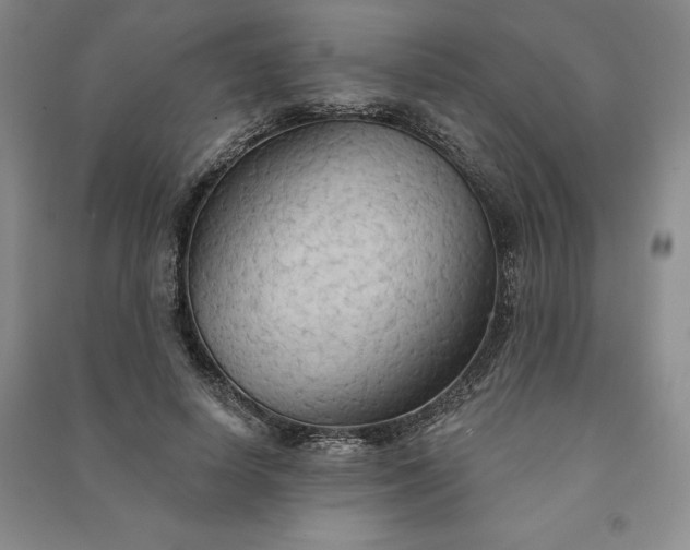 X0000090980642200708161857