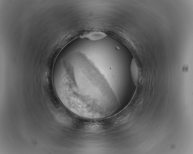X0000090980643200708161857