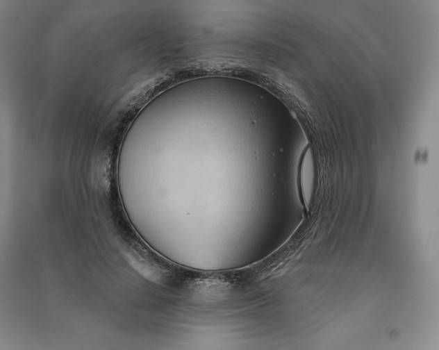 X0000090980644200708161857