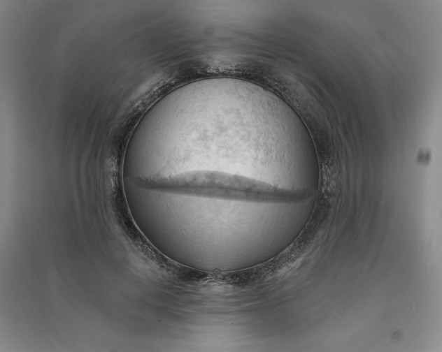 X0000090980648200708161857