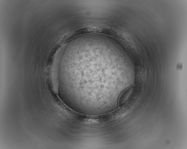 X0000090980649200708161857