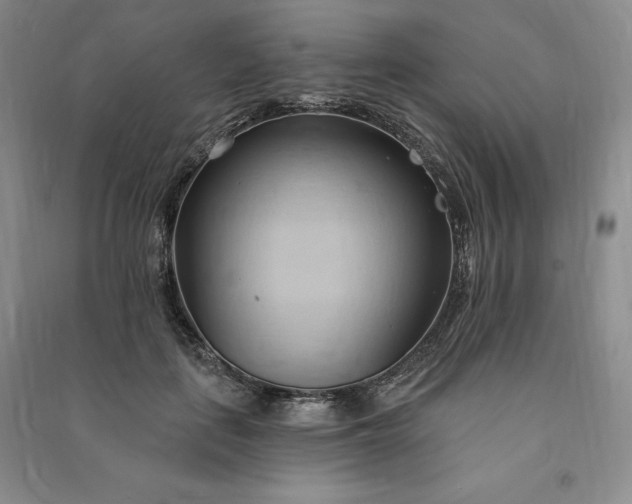 X0000090980651200708161857