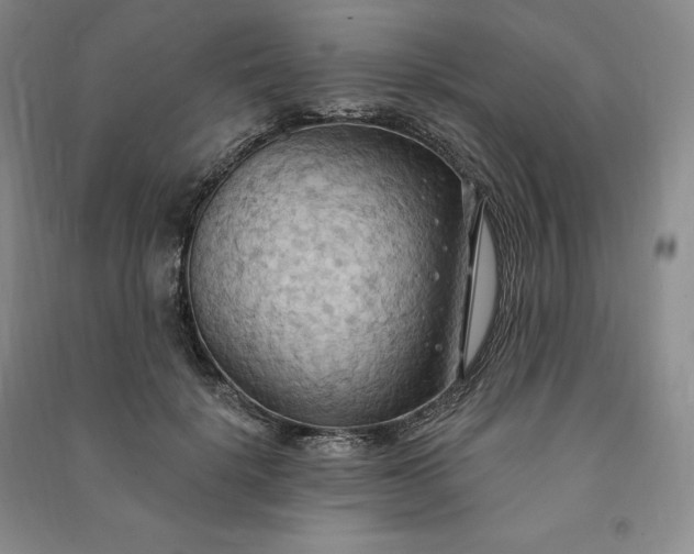 X0000090980652200708161857