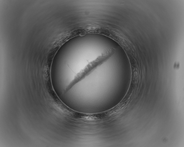 X0000090980654200708161857