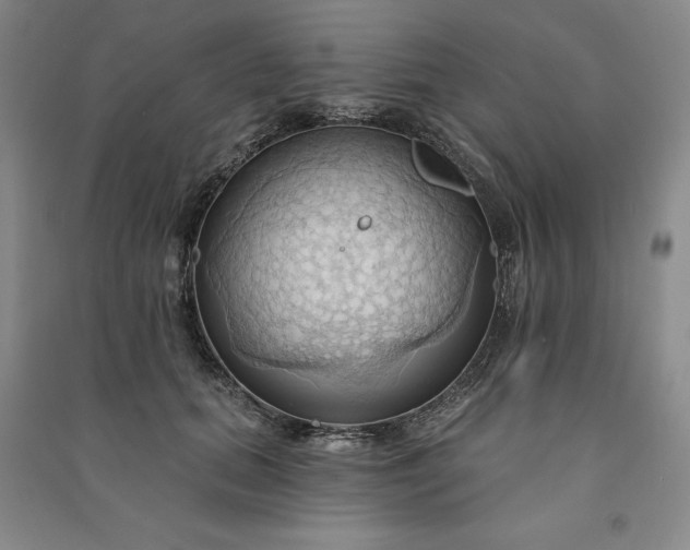 X0000090980655200708161857