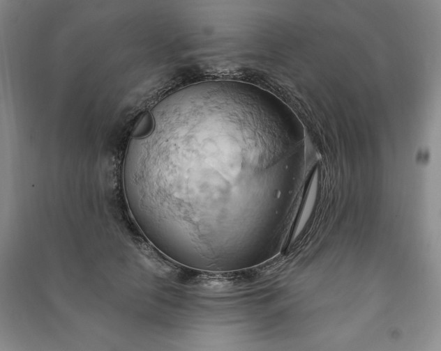 X0000090980658200708161857