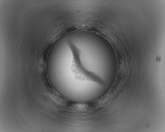 X0000090980659200708161857