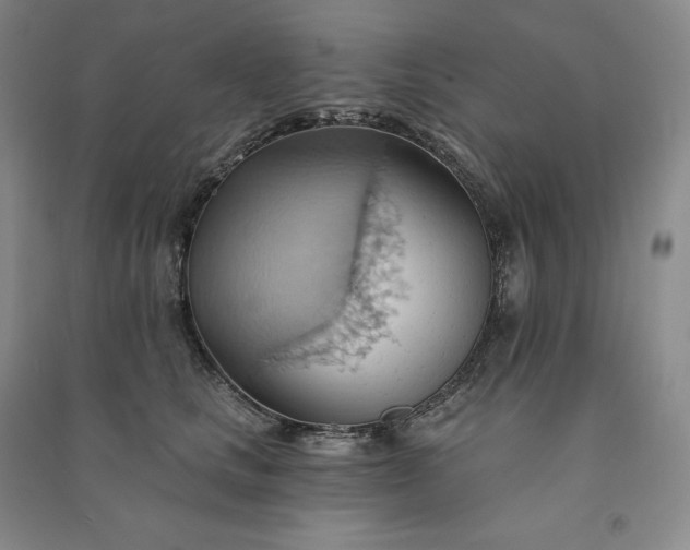 X0000090980661200708161857