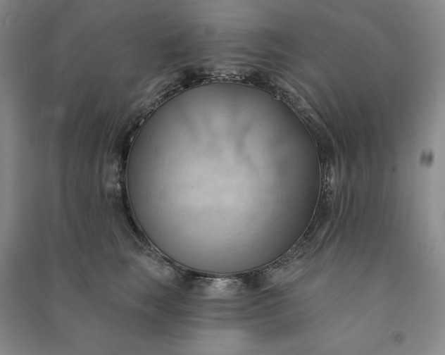 X0000090980663200708161857