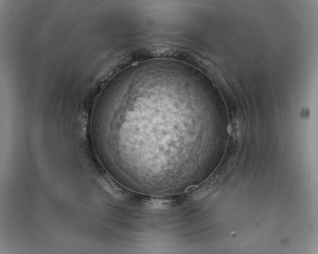X0000090980664200708161857