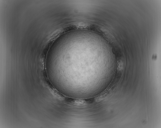 X0000090980666200708161857