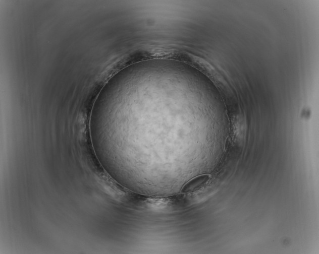 X0000090980667200708161857