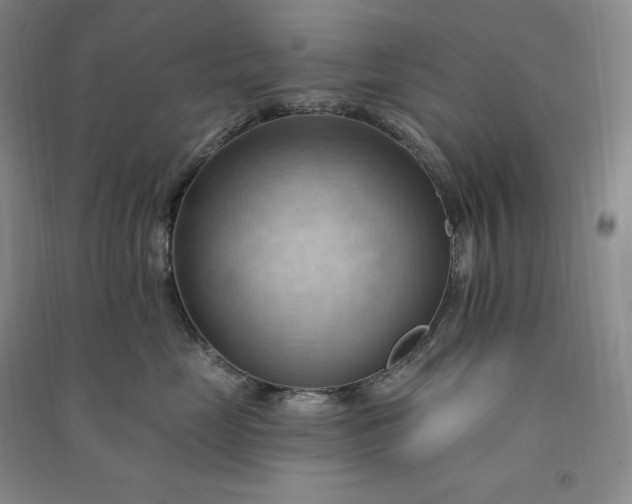 X0000090980669200708161857