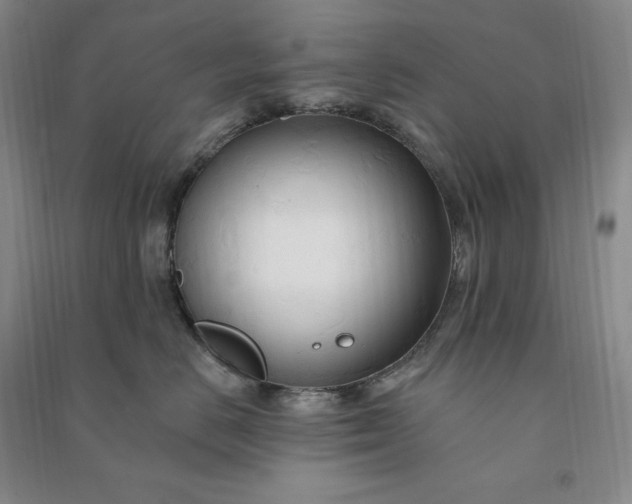 X0000090980670200708161857