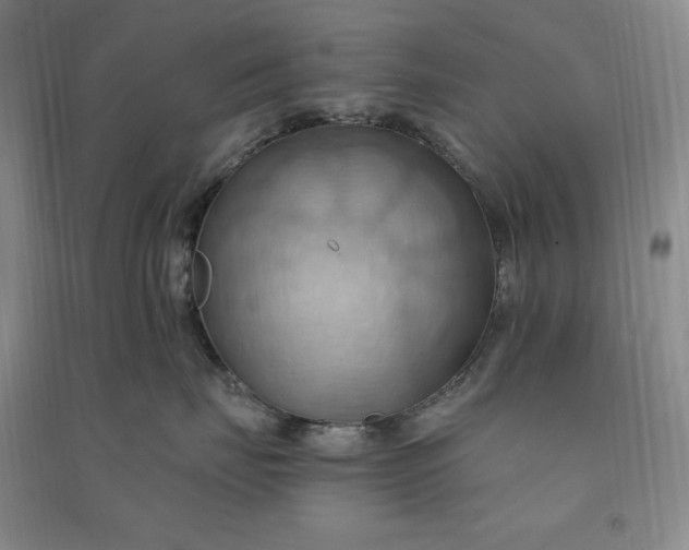 X0000090980671200708161857