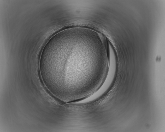 X0000090980673200708161857