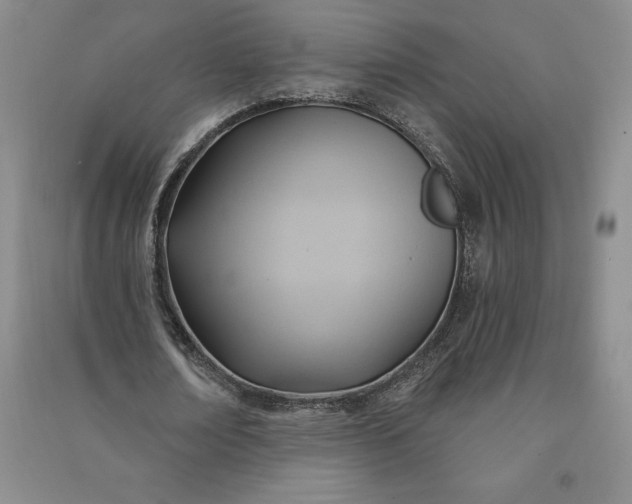 X0000090980674200708161857