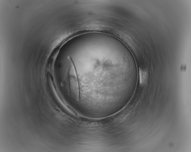 X0000090980675200708161857