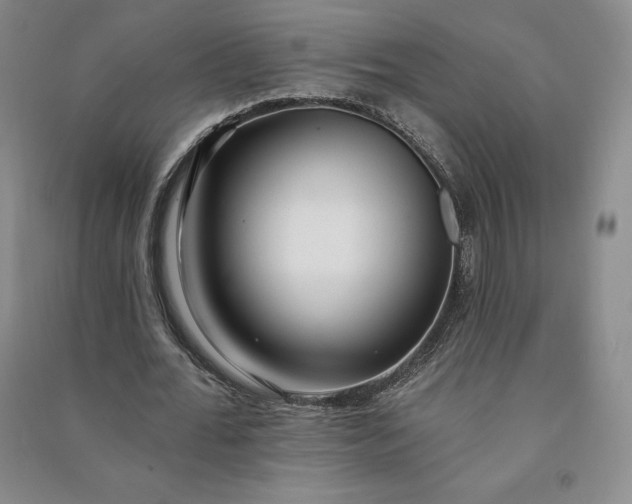 X0000090980676200708161857