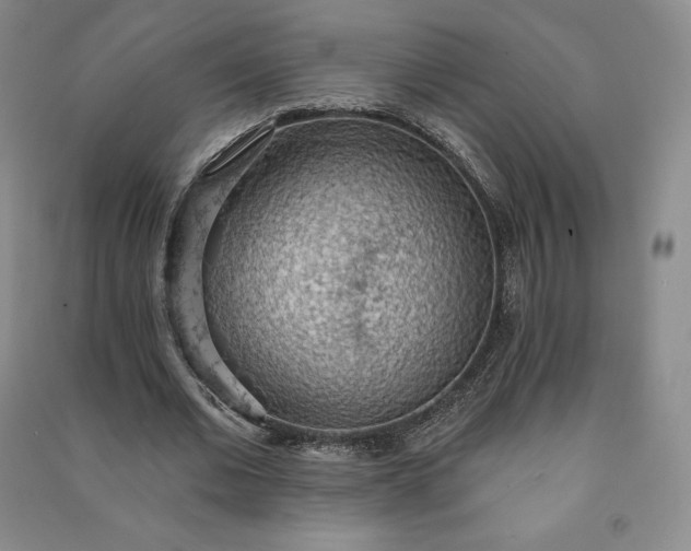 X0000090980677200708161857