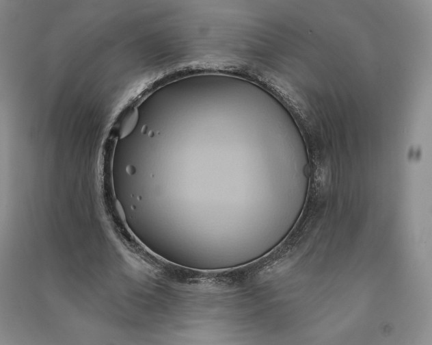 X0000090980678200708161857