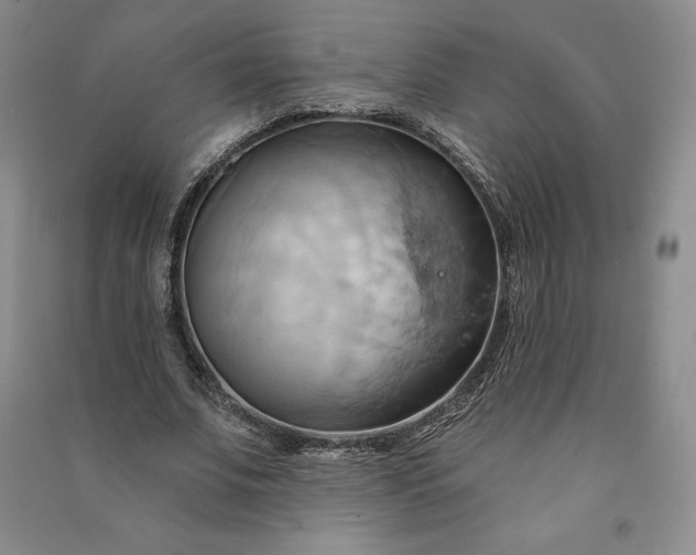 X0000090980679200708161857