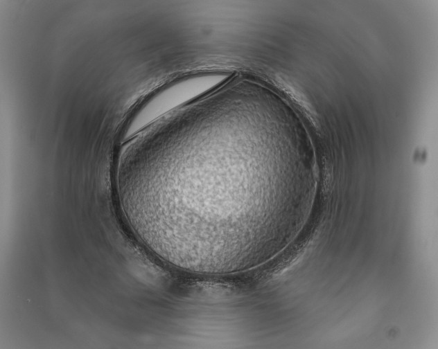 X0000090980681200708161857