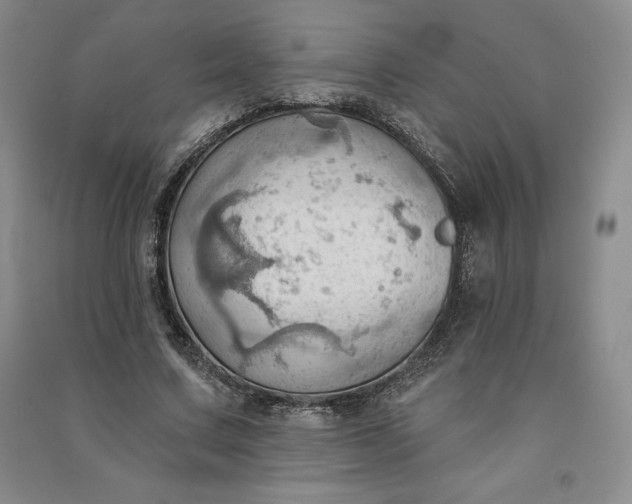 X0000090980683200708161857
