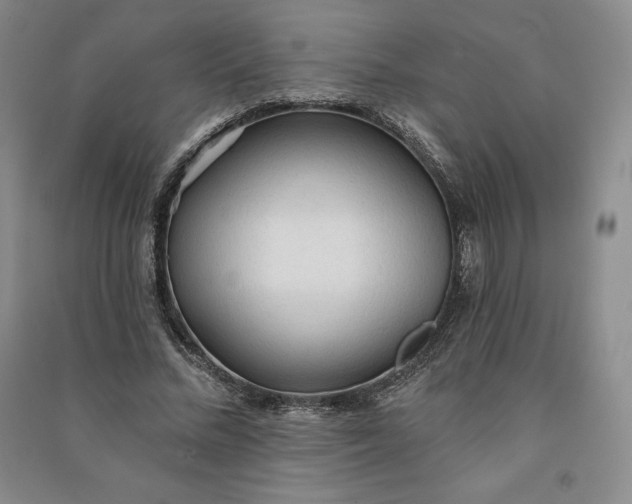 X0000090980684200708161857