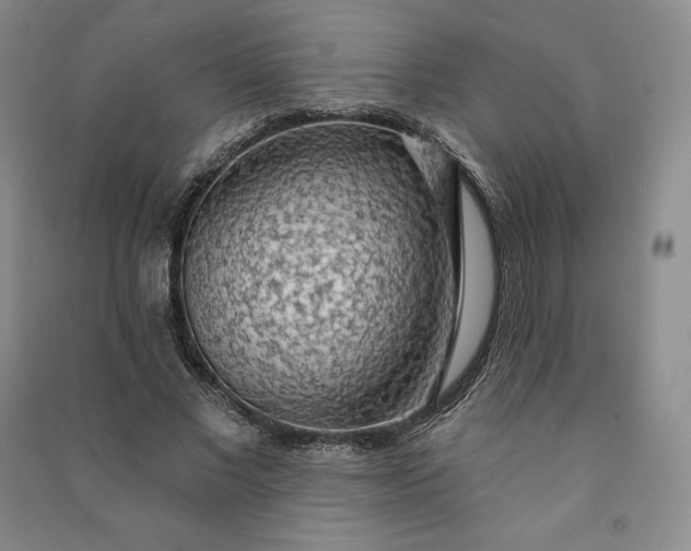 X0000090980685200708161857