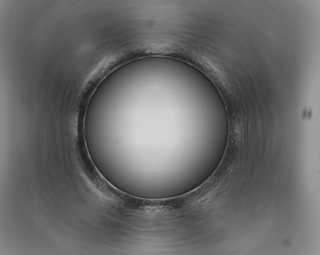 X0000090980686200708161857