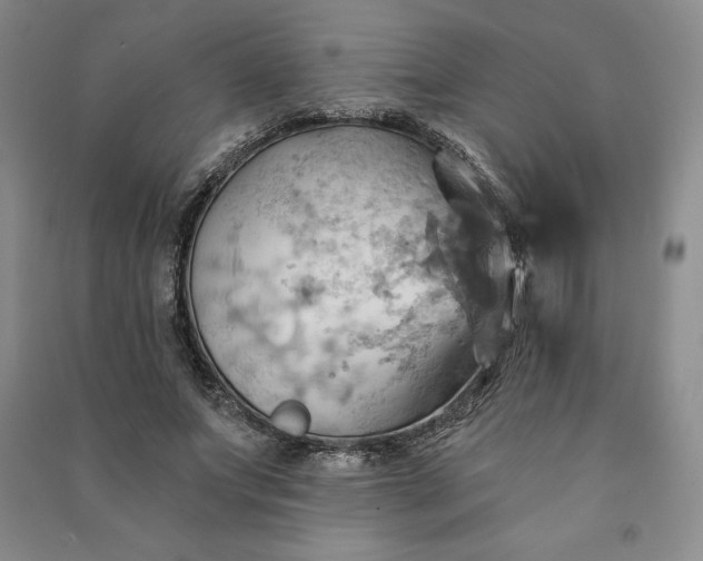 X0000090980687200708161857