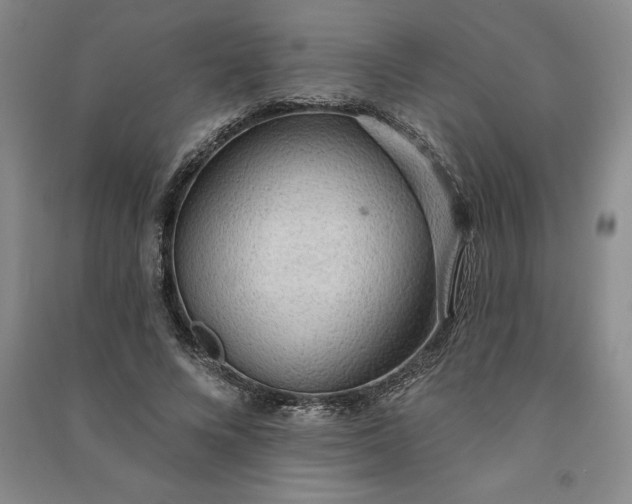 X0000090980688200708161857
