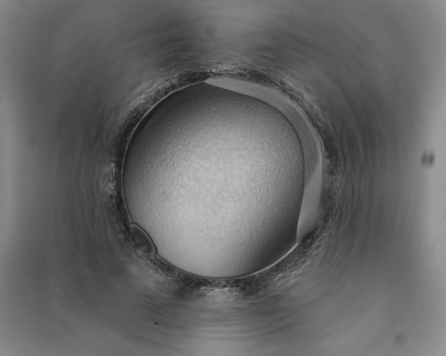 X0000090980689200708161857