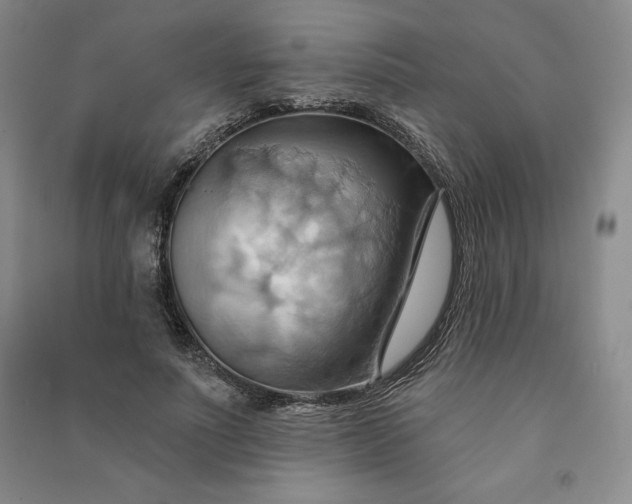 X0000090980691200708161857