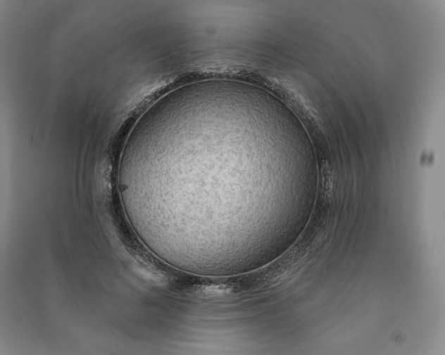 X0000090980692200708161857