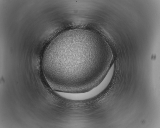 X0000090980693200708161857