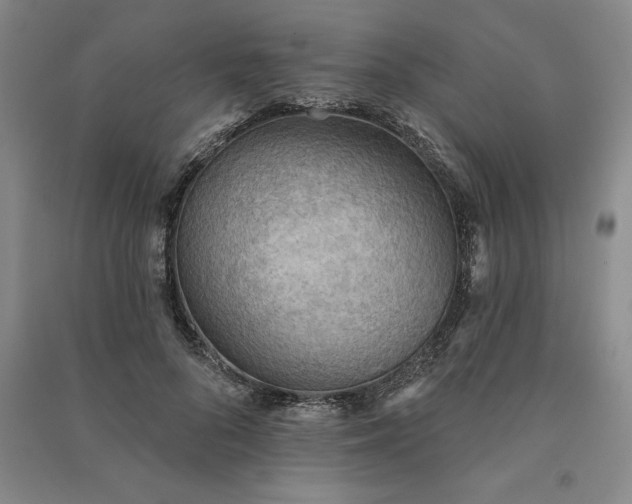 X0000090980696200708161856