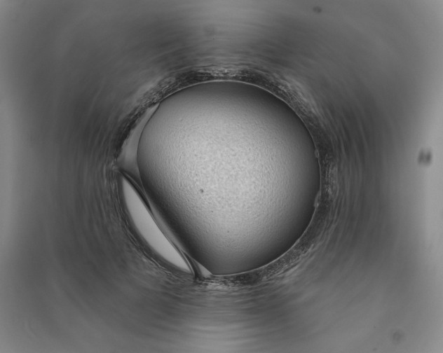 X0000090980697200708161856