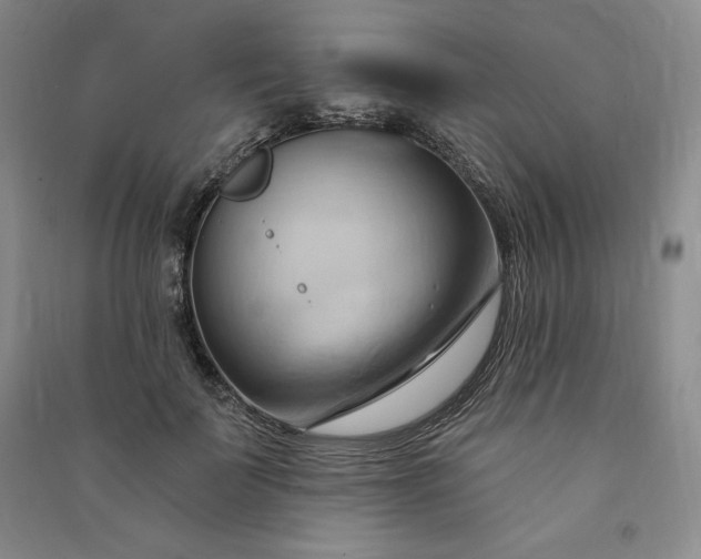X0000090980699200708161856
