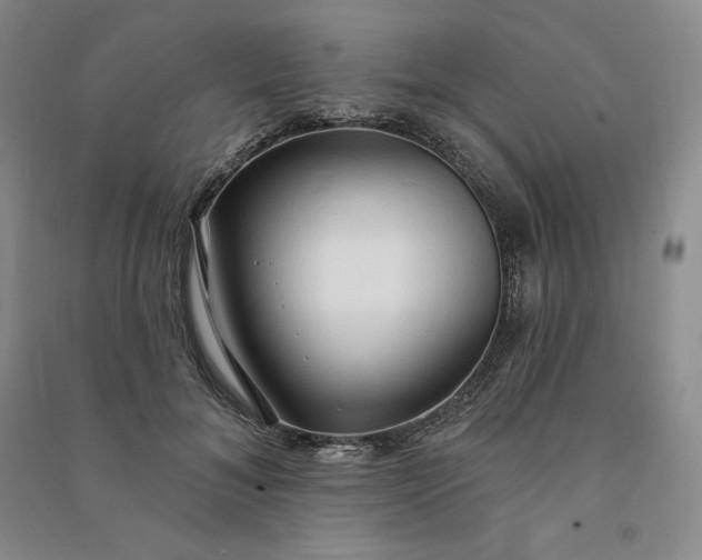 X0000090980700200708161856