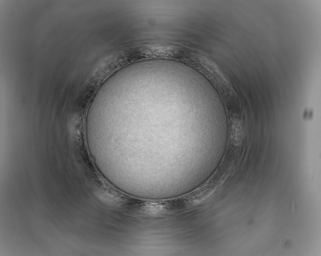 X0000090980701200708161856