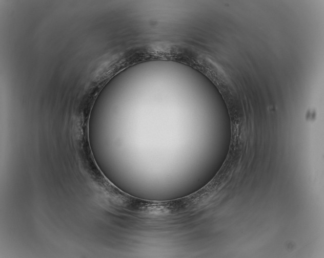 X0000090980702200708161856