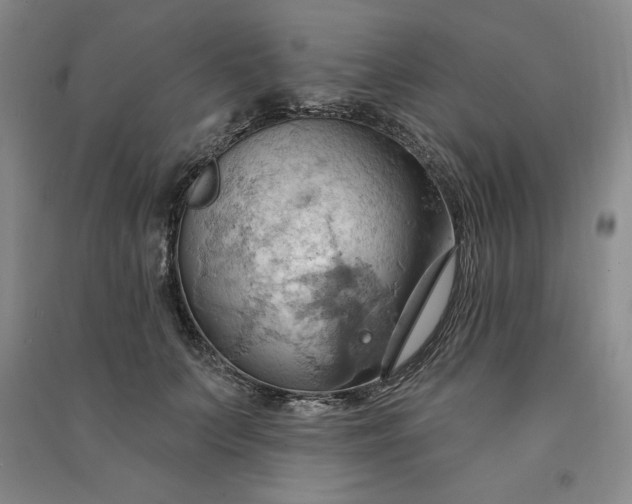 X0000090980703200708161856