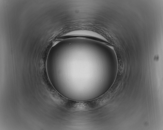 X0000090980704200708161856