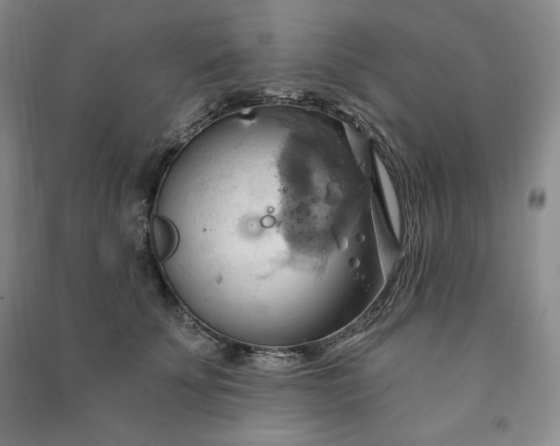X0000090980707200708161856