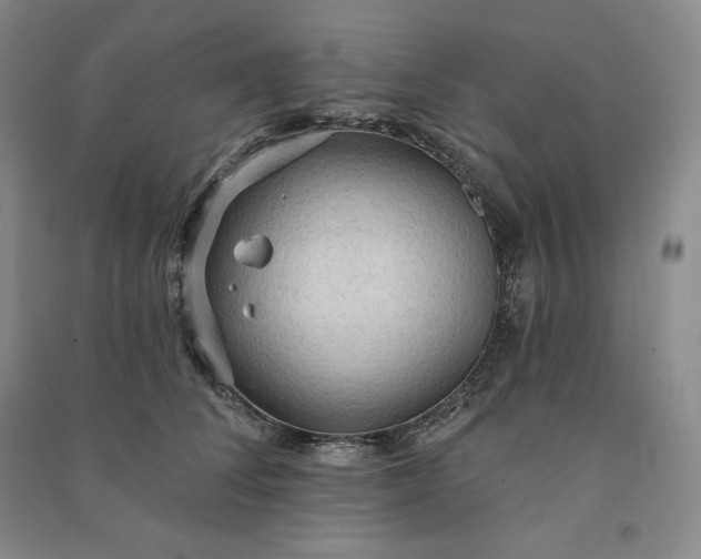 X0000090980708200708161856