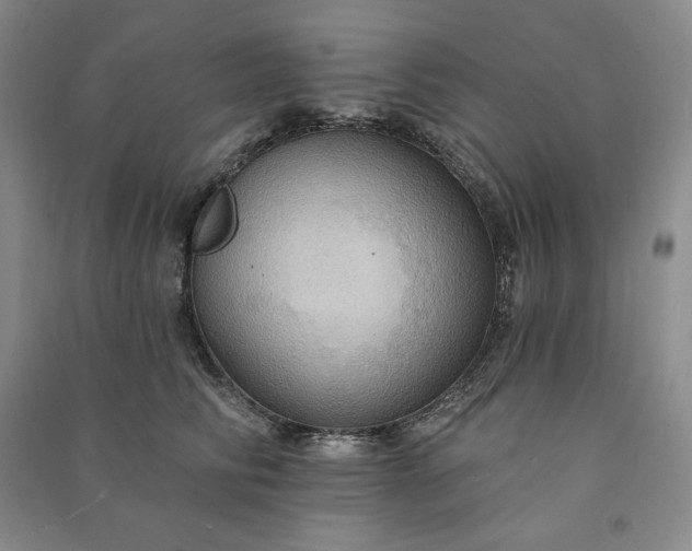 X0000090980710200708161856