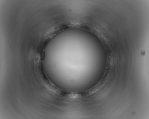 X0000090980711200708161856